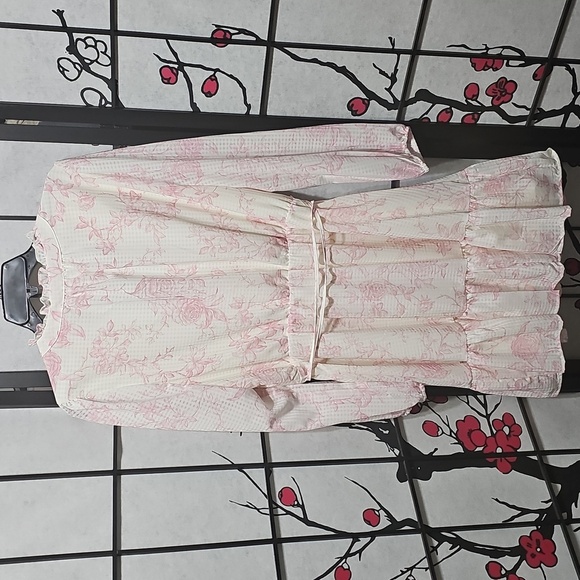 Joie Cream and Pink Floral Lined Long Sleeve Dress Size XL - Picture 9 of 9